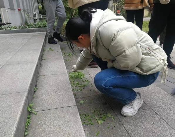 3.jpg 玩球直播官方线路