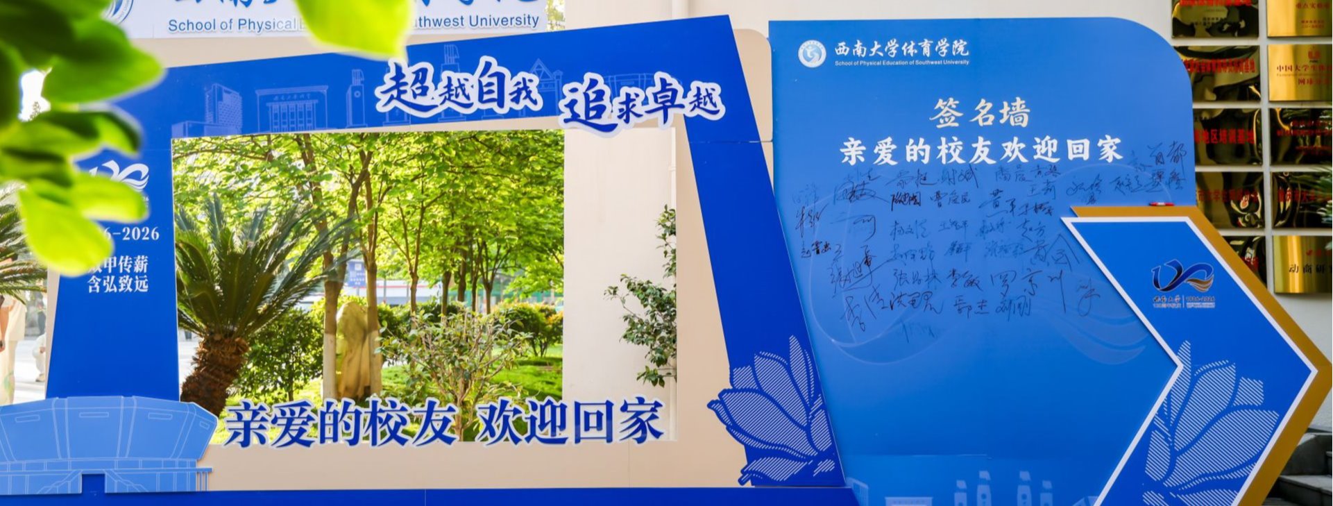 玩球直播官方指定端