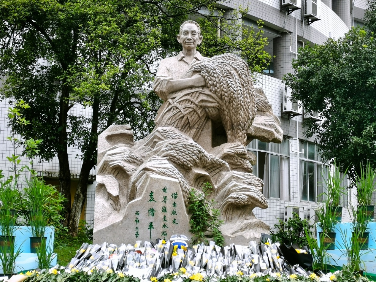 玩球直播APP下载